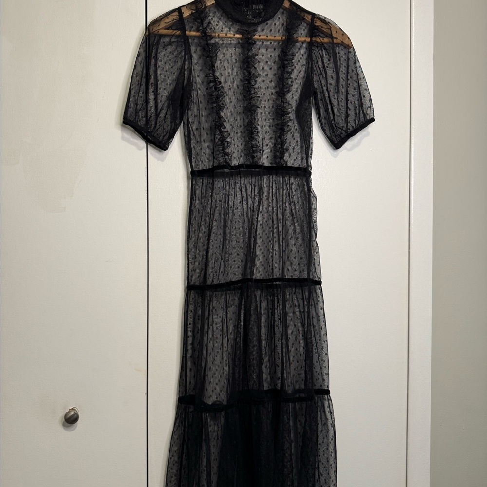 Elegant Black Sheer Dress
